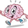 runner brain